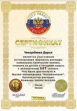 Сертификат #62